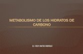 Presentación de PowerPoints076f68c3bf6790f7.jimcontent.com/download/version... · metabolismo de los hidratos de carbono ... vÍas metabÓlicas de los carbohidratos 1. ... regulaciÓn