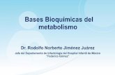 Bases Bioquímicas del metabolismomixacademico.alianzamedicamexicana.com/NUTI/descargables/La_import...Metabolismo de los carbohidratos Elaboración de energía •Glucólisis Vías