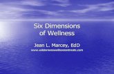 The Six Dimensions of Wellness - OLE Opportunities … •“Wellness is an active process through which people become aware of, and make choices toward, a more successful existence.”