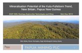 PAPUA MINING PLC - Australian Institute of Geoscientists MINING PLC Mineralisation ... the meaning of the Financial Services and Markets Act 2000 (the “Act”). ... PAPUA NEW GUINEA