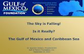 The Sky is Falling! Is it Really? The Gulf of Mexico and ... Dokken_Keynote.pdfPromoting Conservation of the Gulf of Mexico Conservation Education Restoration Training Dr. Quenton