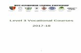 Level 3 Vocational Courses 2017-18 - wgswitney.org.uk · Level 3 Vocational Courses ... BTEC Level 3 National Extended Certificate in Health & Social Care ... Level 3 Extended Certificate