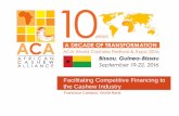 Facilitating Competitive Financing to the Cashew Industry · Facilitating Competitive Financing to the Cashew Industry. ... Multiple reasons for explaining constraints to investment