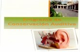 sg.inter.edusg.inter.edu/.../plan_seguridad_salud/consevacion_auditiva.pdf · Equipo de Protección Personal Adiestramiento Audiometrías . ... Prevenir y controlar la pérdida auditiva