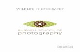 Wildlife Photography - bsop.ca · Digital Darkroom tools for the Wildlife Photographer ..... 32 RAW tools ... Wildlife Photography Workshops and Tours ...
