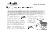 Calling All Wildlife - Wisconsin Department of Natural ...dnr.wi.gov/files/PDF/pubs/wm/WM0216.pdfbird watching, or wildlife photography, while hundreds of thousands enjoy the challenge
