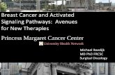 Breast Cancer and Activated Signaling Pathways: Avenues ... · Breast Cancer and Activated Signaling Pathways: Avenues for New Therapies ... Phase II in pancreatic ca - ↑RR, DFS,