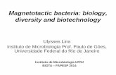 Magnetotactic bacteria: biology, diversity and biotechnology ·  · 2014-05-05ISME J (2014) Abreu et al. Microsc. Microanal 2013 ... Desulfamplus magnetomortis strain BW-1 Produce