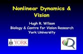 Nonlinear Dynamics & Vision - University of Torontoamnih/cifar/talks/wilson_tutorial_2.pdf · Nonlinear Dynamics & Vision Hugh R. Wilson Biology & Centre for Vision Research York