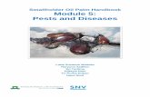 Smallholder Oil Palm Handbook Module 5: Pests and …intothefield.nl/wp-content/uploads/2016/05/Module-5-3rd-edition...Smallholder Oil Palm Handbook Module 5: ... Bunga pukul delapan