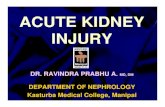 ACUTE KIDNEY INJURY - eprints.manipal.edueprints.manipal.edu/17/1/ACUTE_KIDNEY_INJURY.pdfTALK STRUCTURE Renal functions Renal response to injury Acute kidney injury Definition Etiology