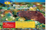 Birds and Mammals - Berkeley County School District · Birds and Mammals Make the following Foldable to help you organize information about the behaviors of birds and mammals. Fold