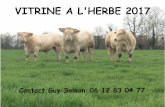VITRINE A L'HERBE 2017 - Herd Book Charolais - …charolaise.fr/wp-content/uploads/2016/06/vitrine-au-11...VITRINE A L'HERBE 2017 Contact Guy Solnon 06 12 83 04 77 LEONIDAS 0338506006