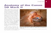 Anatomy of the Canon 5D Mark II - John Wiley & Sonscatalogimages.wiley.com/images/db/pdf/9780470467145.excerpt.pdf · Anatomy of the Canon 5D Mark II ... When connected to a computer