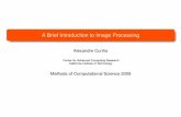 A Brief Introduction to Image Processing - Caltech …george/aybi199/OldLectures/Cunha_improc.pdf · A Brief Introduction to Image Processing ... digital images. ... Matlab provides