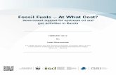 Fossil Fuels – At What Cost? · Fossil Fuels – At WhAt Cost? ... oil And GAs ACtivities in russiA page 2 Fossil Fuels – At What Cost? ... where Russian oil and gas companies