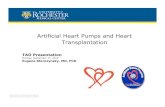Artificial Heart Pumps and Heart Transplantation Heart Pumps and Heart... · Artificial Heart Pumps and Heart Transplantation TAO Presentation Monday, September 17, 2012 Eugene Storozynsky,