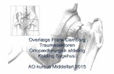 Overl æge Frank Damborg Traumesektoren Ortop …ao-danmark.dk/wp-content/uploads/2015/04/4-FD-collum-fem-AO-201… · Osteoporose -hoften ære frakturer Lavenergifrakturer: colles