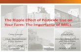 The Ripple Effect of Pesticide Use on Your Farm: The ... · The Ripple Effect of Pesticide Use on Your Farm: The Importance of MRLs Gord Kurbis ... Thailand, 93 Canada, 82 Egypt,