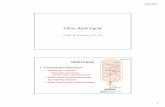 Citric Acid Cycle - courses.chem.indiana.educourses.chem.indiana.edu/c483/documents/Lecturech14_000.pdf · 3/21/2017 2 Overview •Glycolysis •Pyruvate dehydrogenase complex –Commitment