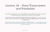 Lecture 17 – Gene Transcription and Translationfacweb.northseattle.edu/lizthomas/Lecture 16.pdfLecture 16 – Gene Transcription and Translation “TO LIVE, TO ERR, TO FALL, ...
