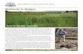 Wetlands in Oregon in Oregon DEPARTMENT OF STATE LANDS FACT SHEET Additional information is available on the DSL website: Identifying Wetlands Wetland Determinations and Delineations