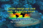 Climate change and coral reefs - the burning issues. Guldberg_Bleaching.pdf · Climate change and coral reefs - the burning issues. ... 400 0 100000 200000 ... • Basis for a highly