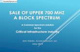 Upper 700 MHz A Block MHz CII 6 1 14.pdfSALE OF UPPER 700 MHZ A BLOCK SPECTRUM A Common Spectrum Solution for the Critical Infrastructure Industry John Vislosky, Access Spectrum, LLC