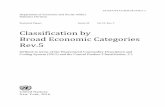 Classification by Broad Economic Categories Rev of the... · Classification by Broad Economic Categories Rev.5 ... (BEC) is an international ... during the final phases of editing.