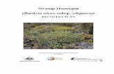 Swamp Honeypot Banksia nivea subsp. uliginosa) · Recovery Plan for . Banksia nivea . subsp. uliginosa . FOREWORD. Interim Recovery Plans (IRPs) are developed within the framework