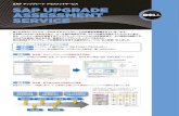SAP アップグレード SAP UPGRADE ASSESSMENT …i.dell.com/.../ja/Documents/sap_upgrade_assessment.pdfSAP アップグレード アセスメントサービス SAP UPGRADE ASSESSMENT