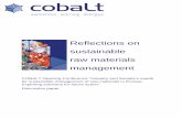 Reflections on sustainable raw materials management - opening conference/COBALT_Backgroun… · Reflections on sustainable raw materials management COBALT Opening Conference “Industry