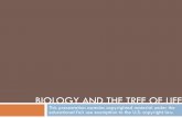BIOLOGY AND THE TREE OF LIFE - Squarespace · BIOLOGY AND THE TREE OF LIFE ... Some variable characteristics enhances individual ... " State precise, testable hypothesis