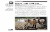 Raising Dairy Goat Kids - UC Agriculture & Natural Resourcesanrcatalog.ucanr.edu/pdf/8160.pdf · Raising Dairy Goat Kids ... can make a more educated decision as to whether this is