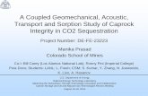 A Coupled Geomechanical, Acoustic, Transport and … Library/Events/2016/fy16 cs...A Coupled Geomechanical, Acoustic, Transport and Sorption Study of Caprock Integrity in CO2 Sequestration