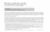 Nasal, Septal, and Turbinate Anatomy and Embryology Files/NoseLecture2011/Septal Anatomy.pdf · Nasal, Septal, and TurbinateAnatomy and Embryology DavidNeskey,MDa,JeanAndersonEloy,MDb,*,RoyR.Casiano,MDa,c
