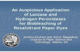 An Auspicious Application of Laccase and Hydrogen ... ISWPCf.pdf · Recalcitrant Paper Dyes ... Mixed 62.1 81.5 66.7 81.8 Office Waste Hydrosulfite (Dithionite) 2% ... Comparison