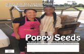 FALL 2017 California School Nutrition Association … 2017 = California School Nutrition Association = Volume 61 ... one of the many joys of living in the ... Poppy Seeds Magazine