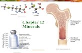 PowerPoint Presentationiws.collin.edu/rorr/Course_Files/Lectures/N… · PPT file · Web view · 2013-08-21Chapter 12: Minerals Chapter 12: Minerals What Are Minerals? Inorganic