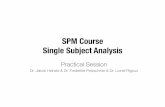 SPM Course Single Subject Analysis - TNU SPM Course 2016 Practical session on 1st level analysis Tutors: Frederike Petzschner, Liongel Rigoux, Jakob Heinzle We assume that you have