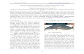 Researcher 2012;4(5) … 2012;4(5)  46 Karyotypic Analysis of Walking Catfish Clarias batrachus (Linnaeus, 1758) …