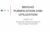 BIOGAS PURIFICATION AND UTILIZATION - …mebig.marmara.edu.tr/Enve737/Chapter4-Biogas.pdfBIOGAS PURIFICATION AND UTILIZATION ... DMT BioSulfurex ... Evaporation of all adsorbed compounds.