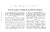 Superior Cerebellar Artery Infarction and Vertebral ...stroke.ahajournals.org/content/strokeaha/19/11/1431.full.pdf · Davison C, Goodhart SP, Savitsky N: The syndrome of the superior