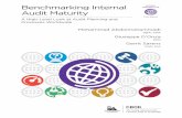 Benchmarking Internal - Institute of Internal Auditors Internal ... largest ongoing study of the internal audit profession, including studies of ... Assessment of the internal audit