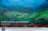 Remediation Roundtable Presentation June 21, 2016 · REMEDIATION ROUNDTABLE. June 21, ... • Will follow the color scheme of the Public Comment Document ... • may require DEEP