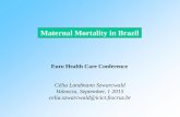 Maternal Mortality in Brazil - Conferences · Maternal Mortality in Brazil ... Ministry of Health that focused on reducing child and ... magnitude of maternal mortality as well as