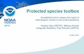 Protected species toolbox - Science & Technology to the fishery management plans (FMP) of the U.S. Caribbean to address required provisions of the Magnuson-Stevens Fishery Conservation