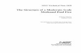 The Structure of a Moderate-Scale Methanol Pool Fire Technical Note 1928 The Structure of a Moderate-Scale Methanol Pool Fire Anthony Hamins Andrew Lock This publication is available