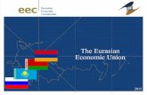eec Eurasian Economic Commission - un.mfa.gov.byun.mfa.gov.by/docs/eec_eng-4017.pdf · eec Eurasian Economic ... 115.4 116.3 102.0 103.6 103.2 103.3 103.8 ... Treaty on the establishment