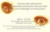 Varroa mite attractants: potential solution for Varroa ... · Varroa mite attractants: potential solution for Varroa mite/ viral challenges to honey bees. I. Volatile ... Varroa mite